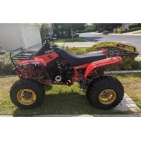 Yamaha 350 YFM Warrior 1987