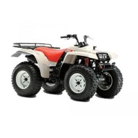 Yamaha 350 YFM Big Bear 1987