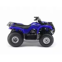 Yamaha 125 YFM Grizzly 2004
