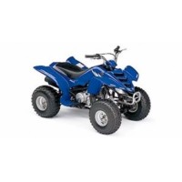 Yamaha 50 YFM Raptor 2006