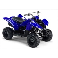 Yamaha 50 YFM Raptor 2010