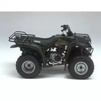 Yamaha 250 YFB Timberwolf 2000