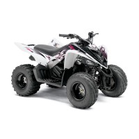 Yamaha 90 YFM Raptor 2009