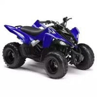 Yamaha 90 YFM Raptor 2010