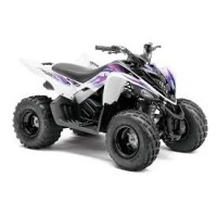 Yamaha 90 YFM Raptor 2014