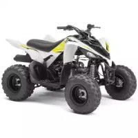 Yamaha 90 YFM Raptor 2018