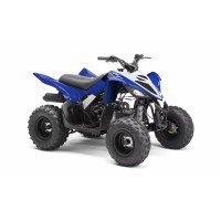 Yamaha 90 YFM Raptor 2019
