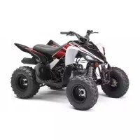 Yamaha 90 YFM Raptor 2020