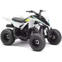 Yamaha 90 YFM Raptor 2021