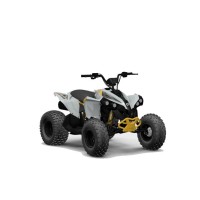 CAN-AM 110 cc