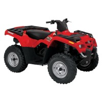 CAN-AM 330 cc
