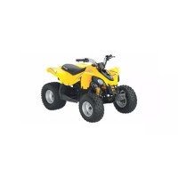 CAN-AM 250 DS 2008