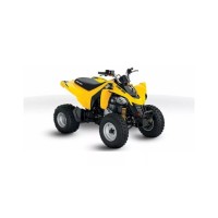CAN-AM 250 DS 2010