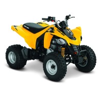 CAN-AM 250 DS 2011
