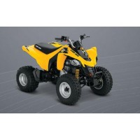 CAN-AM 250 DS 2015