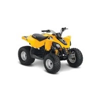 CAN-AM 250 DS 2016