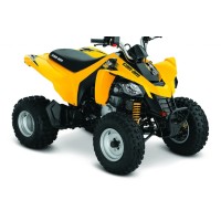 CAN-AM 250 DS 2022
