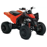 CAN-AM 250 DS 2023