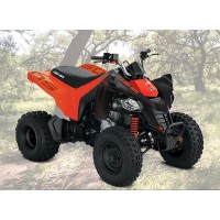 CAN-AM 250 DS 2025