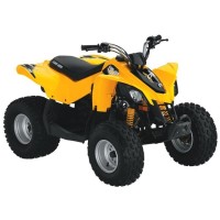CAN-AM 70 DS 2010