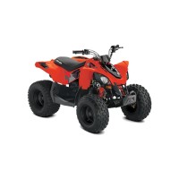 CAN-AM 70 DS 2025