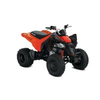 CAN-AM 90 DS 2020