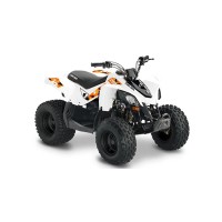 CAN-AM 90 DS 2022
