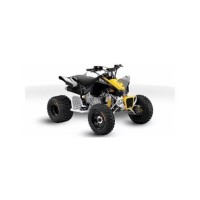 CAN-AM 90 DS-X 2010