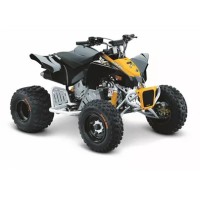 CAN-AM 90 DS-X 2014