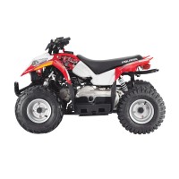 Polaris 50 cc