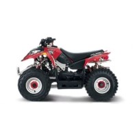 Polaris 50 Predator 2005