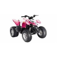 Polaris 50 Predator 2007