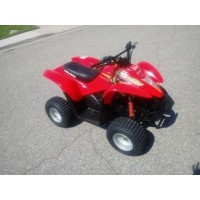 Polaris 50 Scrambler 2001