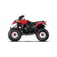 Polaris 90 Predator 2006