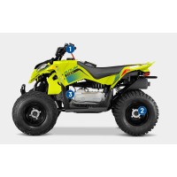 Polaris 110 cc
