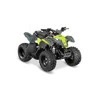 Polaris 110 Outlaw 2017