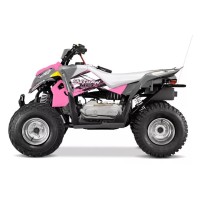 Polaris 110 Outlaw 2018