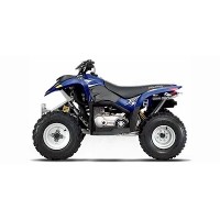 Polaris 200 Phoenix 2006