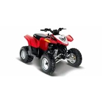 Polaris 200 Phoenix 2010