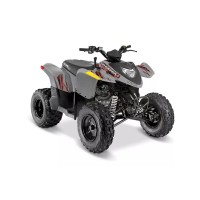 Polaris 200 Phoenix 2017