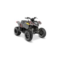 Polaris 200 Phoenix 2018