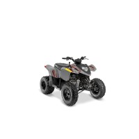 Polaris 200 Phoenix 2023