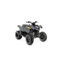 Polaris 200 Phoenix 2025