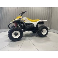 Polaris 250 Trail Blazer 2002