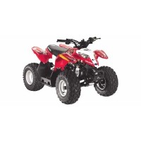 Polaris 50 Outlaw 2008