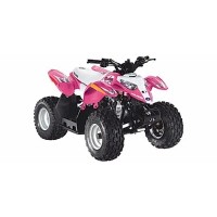 Polaris 50 Outlaw 2009