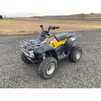 Polaris 330 Trail Boss 2005