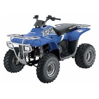 Polaris 330 Trail Boss 2006