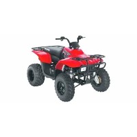 Polaris 330 Trail Boss 2008