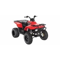 Polaris 330 Trail Boss 2009